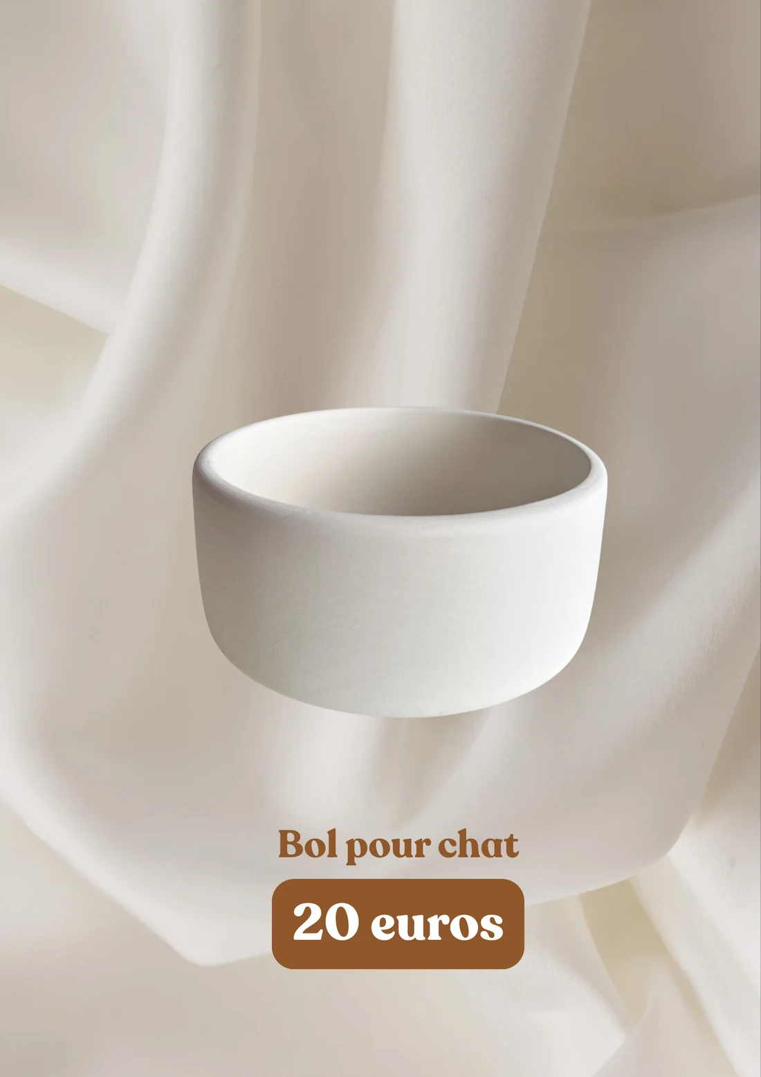 Bol pour chat - 20 euros